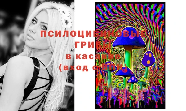 бутират Баксан