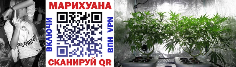 Бошки марихуана White Widow  OMG tor  Каменск-Уральский 